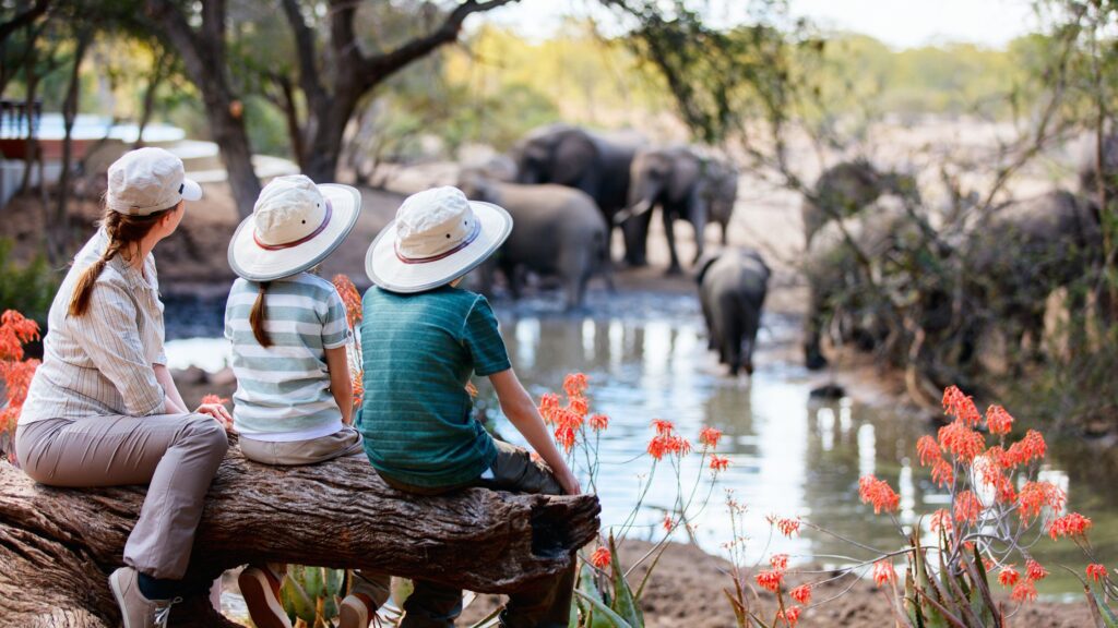 Best Time to Visit Maasai Mara