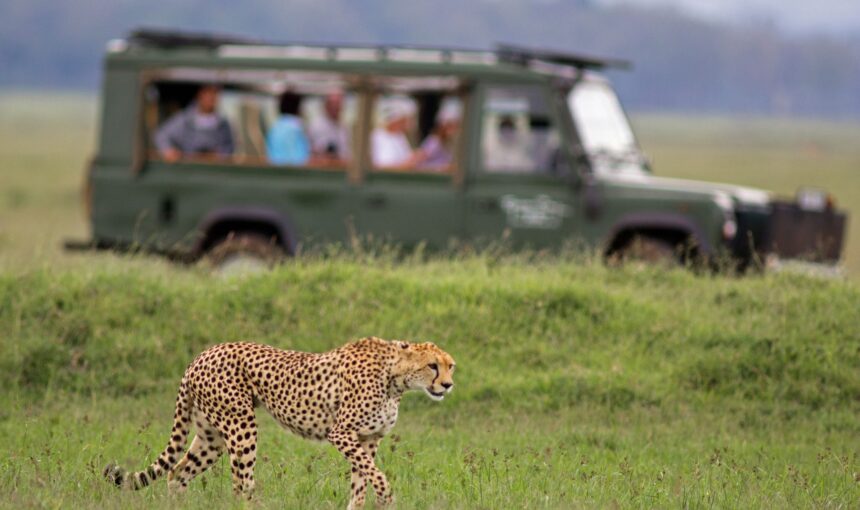 How Much Does a Kenya Safari Cost in 2026? (Full Breakdown Guide)
