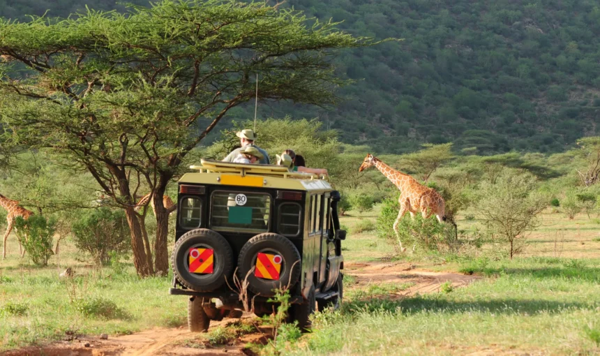 Budget Safari in Kenya: How to Travel Cheap Without Missing Out