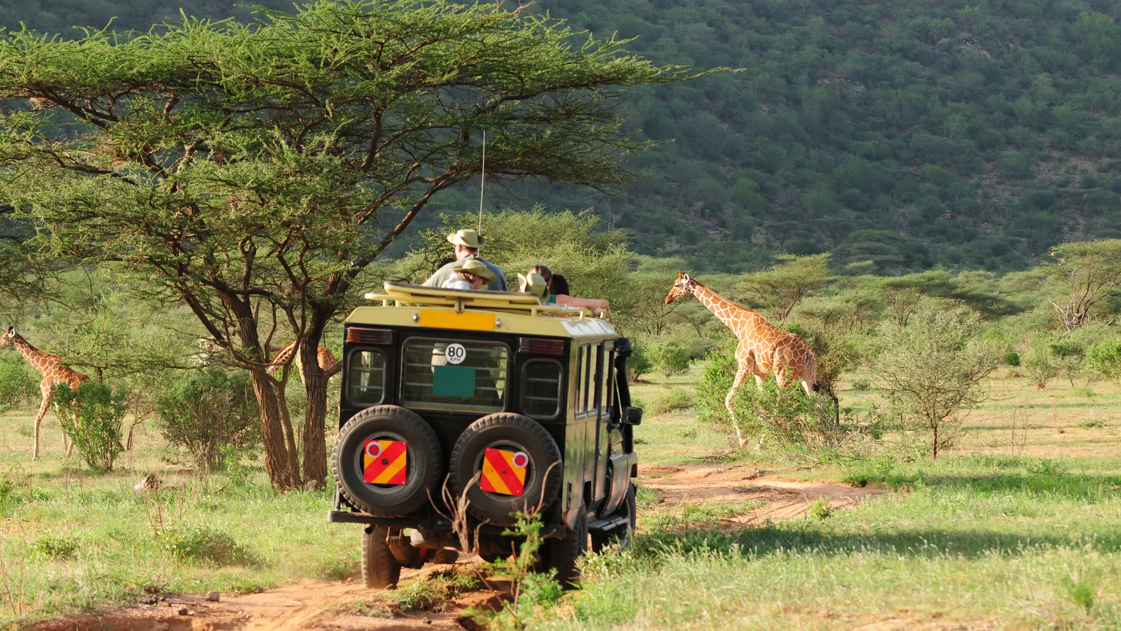 Budget Safari in Kenya