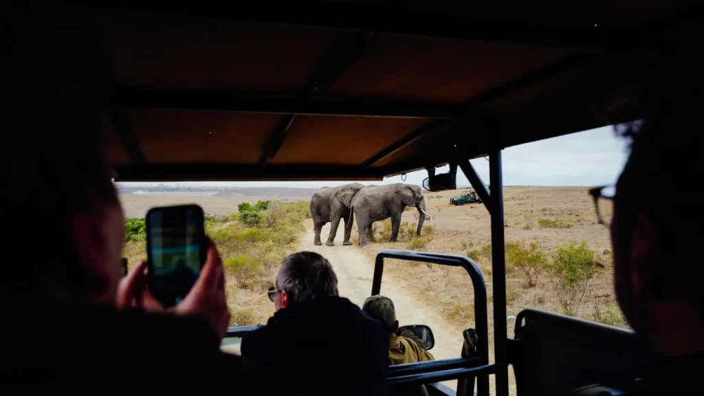 Luxury Safari in Kenya