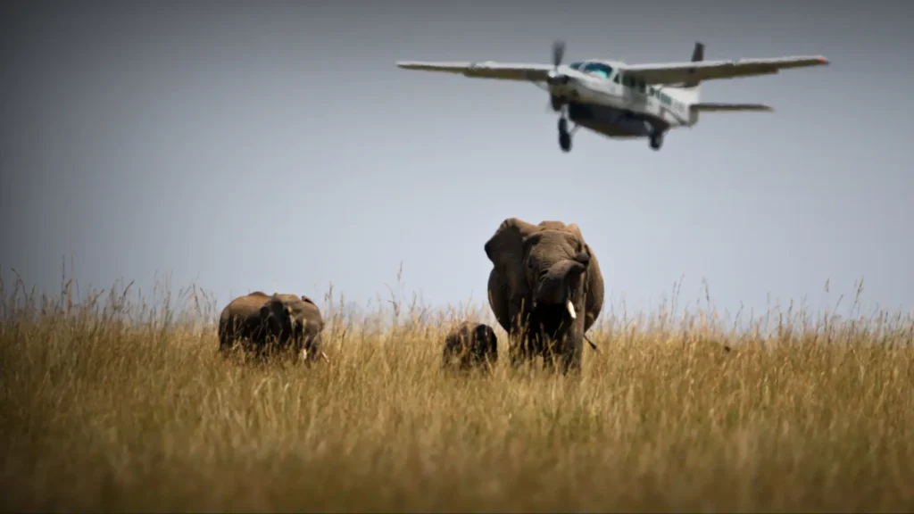 Fly-in Maasai Mara safari packages