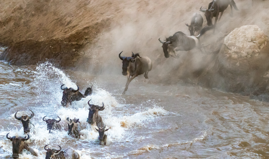 10 Essential Maasai Mara Safari Tips for First-Time Visitors