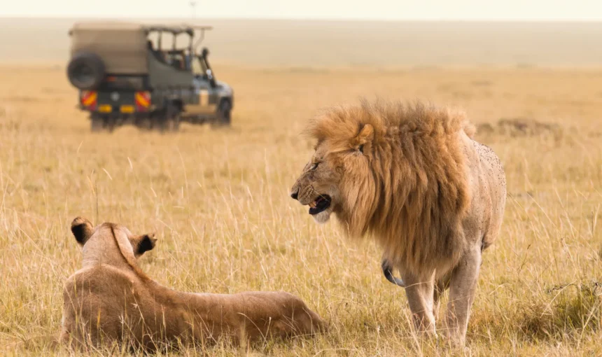 7-Day Kenya Safari Itinerary: Perfect First-Time Safari Guide