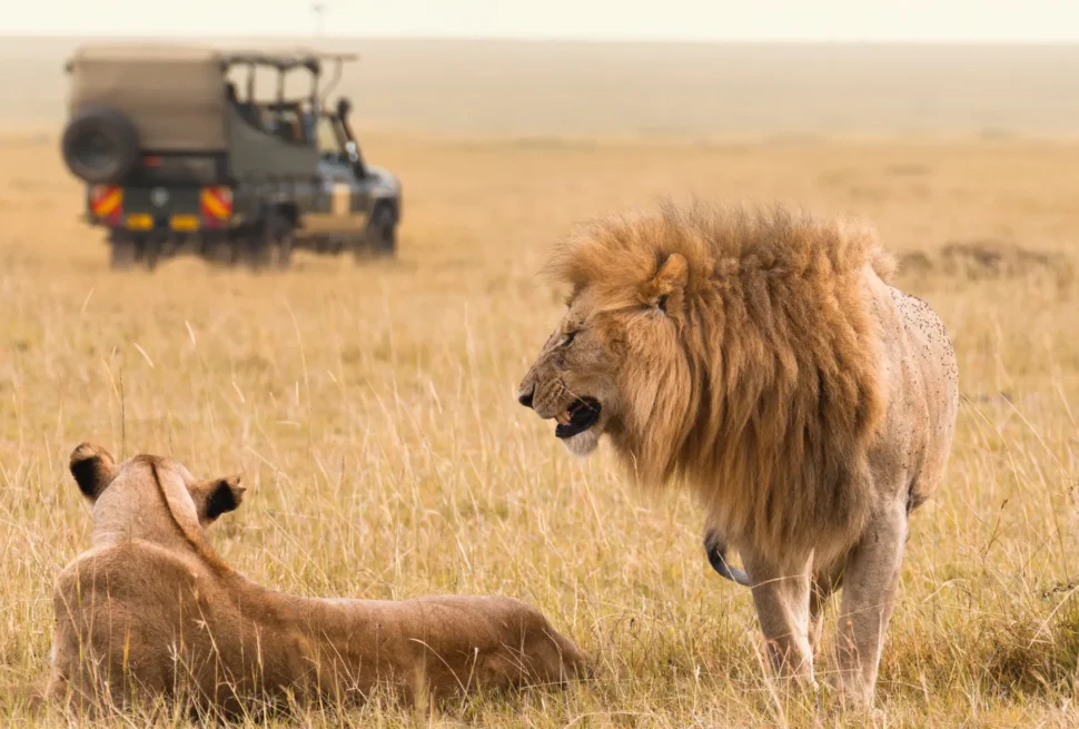 kenya safari itinerary