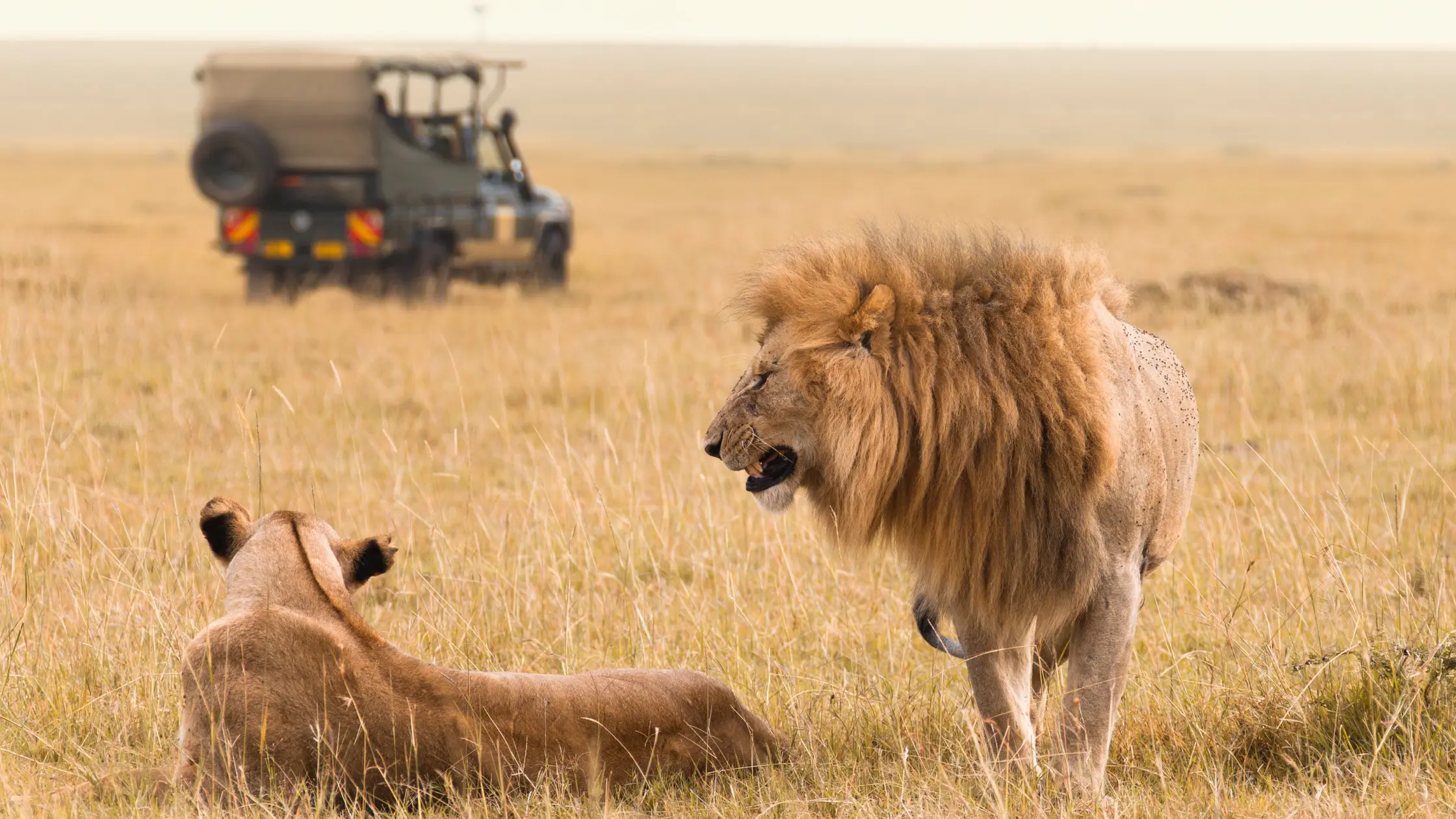 kenya safari itinerary