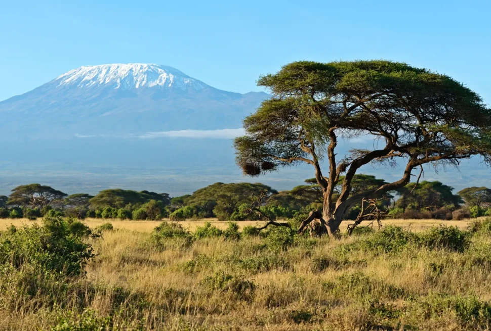 maasai mara vs amboseli