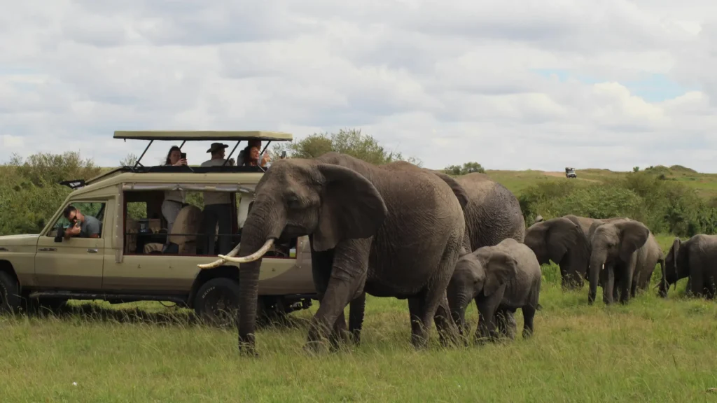 3-day Maasai Mara safari itinerary