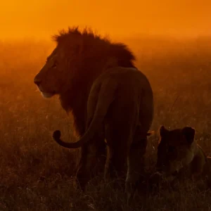 3-day Maasai Mara safari itinerary