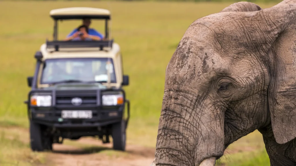 5-Day Kenya Safari Itinerary