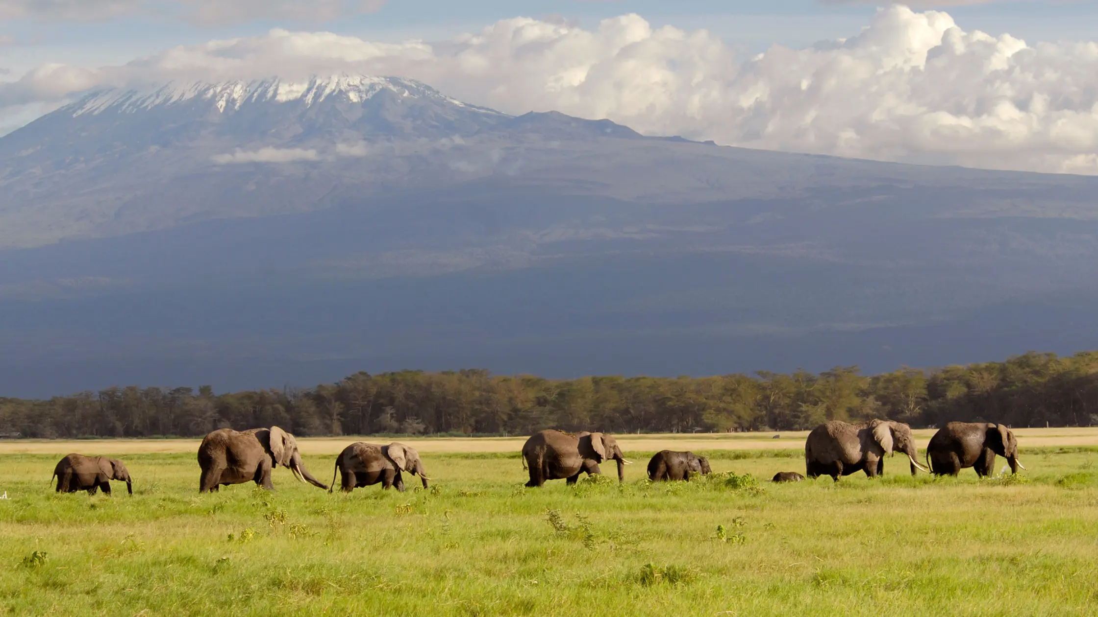 Amboseli Safari Packages