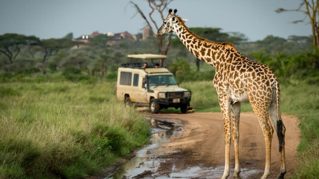Samburu Safari Packages