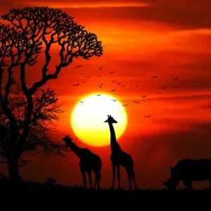 Tsavo Safari from Nairobi