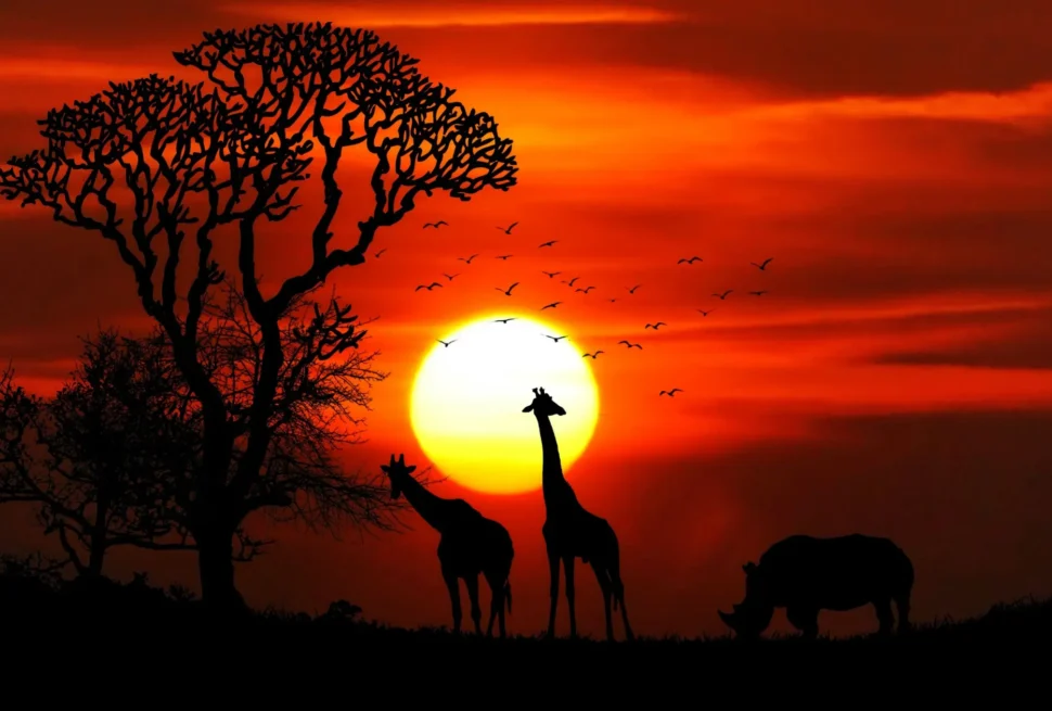 Tsavo Safari from Nairobi