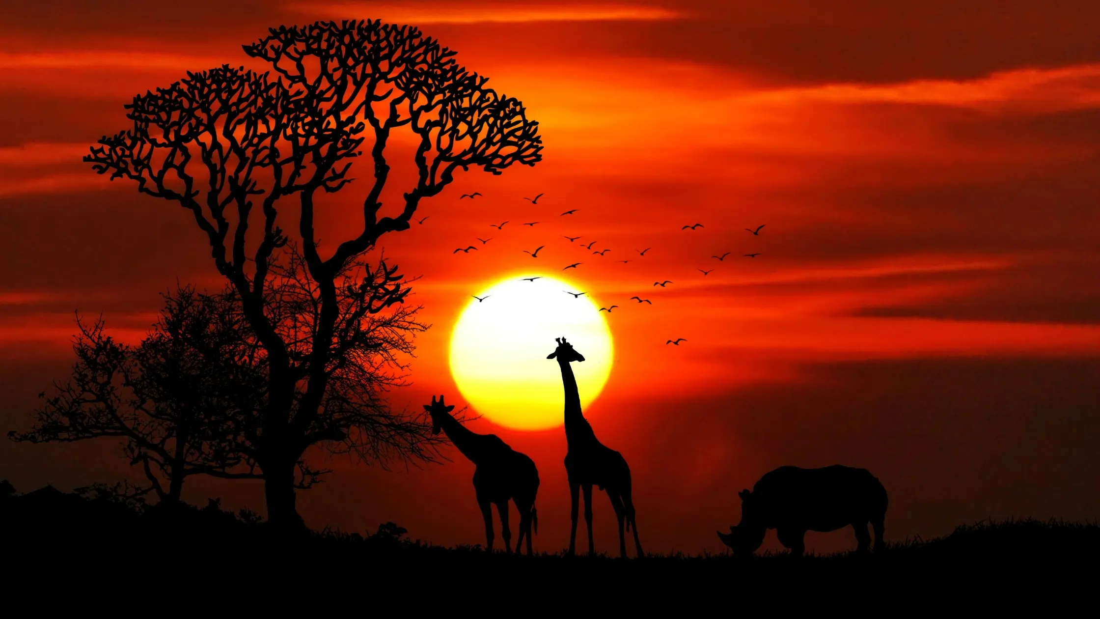 Tsavo Safari from Nairobi